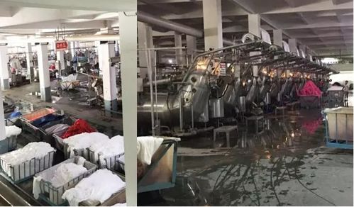 印染行業放假前夕的忙碌與建筑技術咨詢服務的協同發展